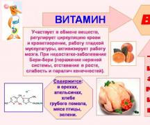 B1 (Тиамин) Свойства витамина, характеристики и воздействие на организм
