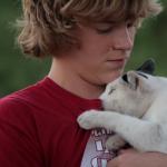 Odnos prema mačkama kao osobina osobe Odnos mačke i osobe
