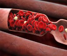 Продукты разжижающие кровь и укрепляющие стенки сосудов Омега 3 для разжижения крови