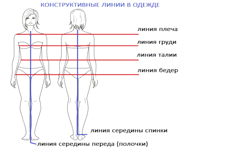 Горизонтальные линии фигуры. Конструктивные линии для снятия мерок. Конструктивные линии фигуры. Основные конструктивные линии фигуры. Конструктивные линии в одежде.